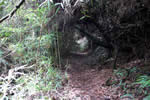 Sendero en los cerros de Usaquén - Bogotá, Colombia
