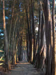 Parque Nacional - Bogotá, Colombia